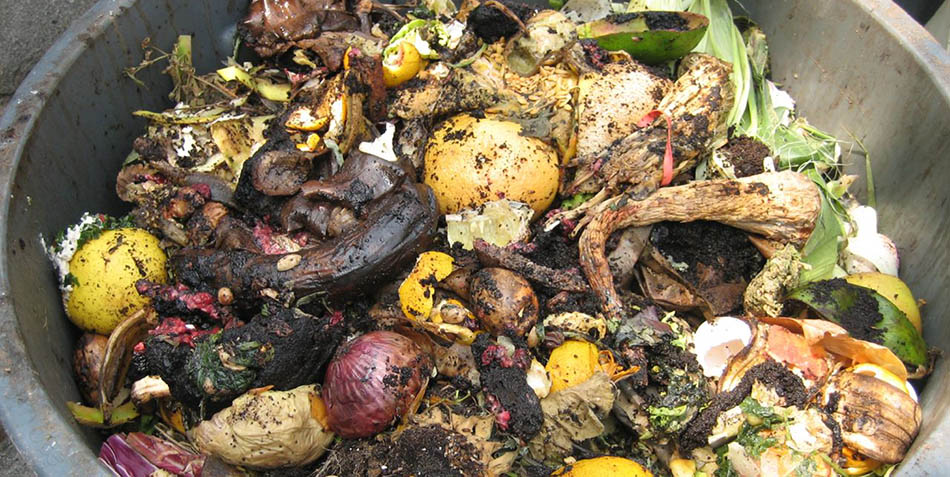 rifiuti-compost