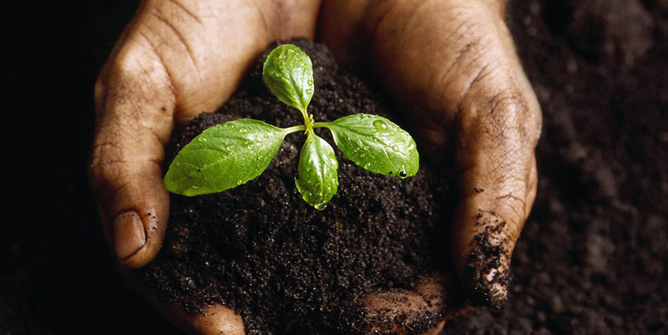 come-fare-il-compost