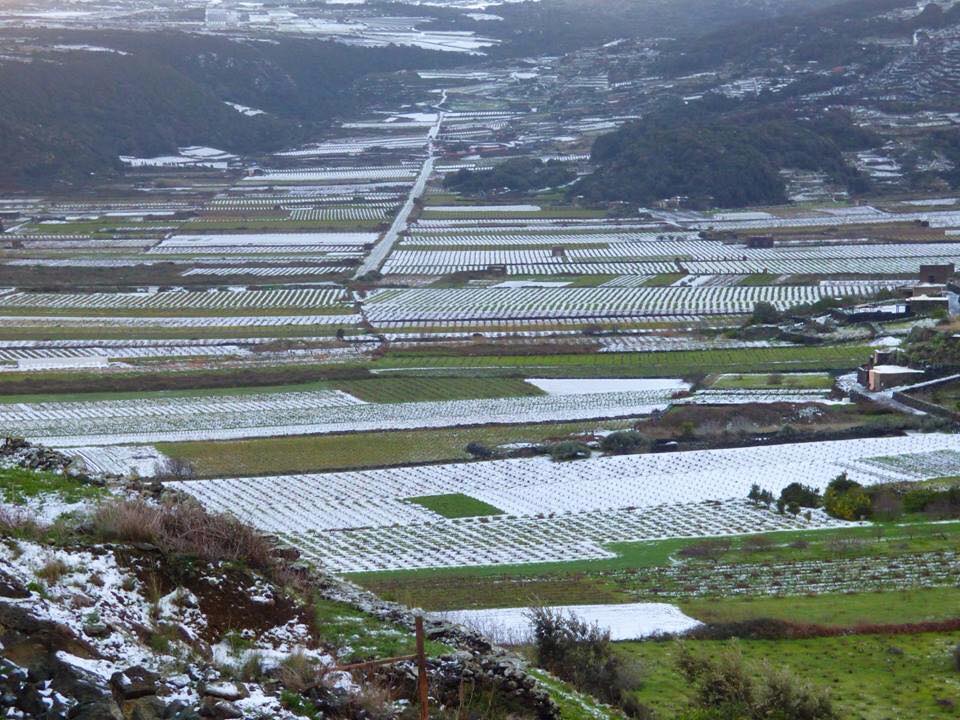neve-a-pantelleria