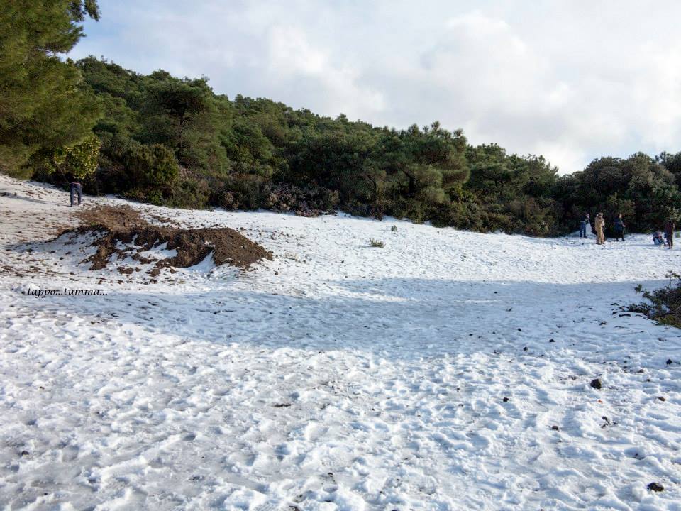 neve-a-pantelleria