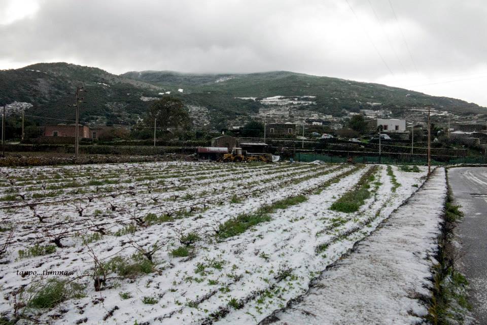 neve-a-pantelleria