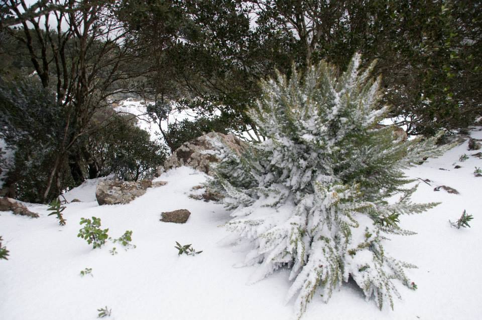 neve-pantelleria