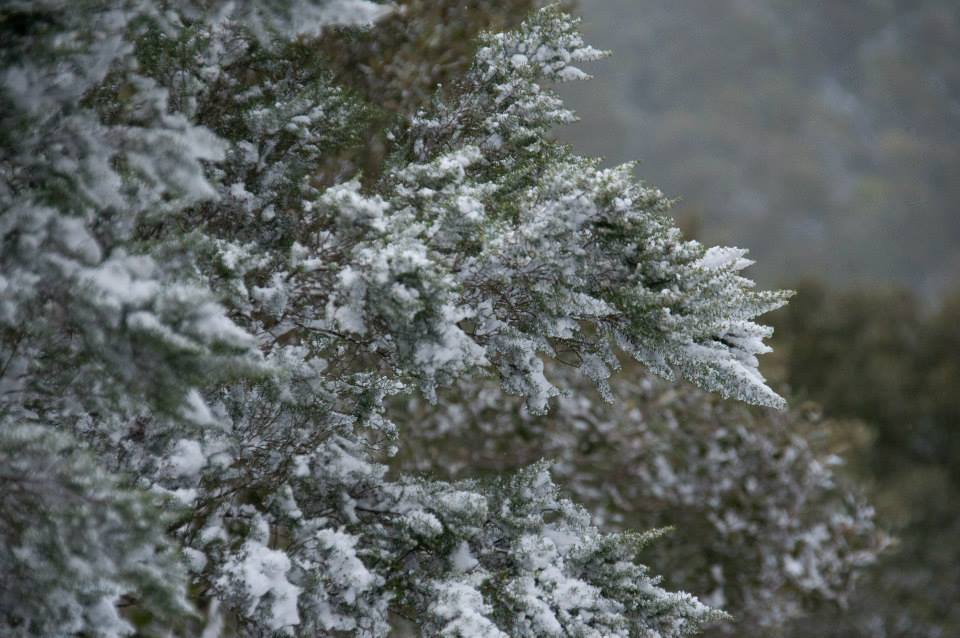 neve-pantelleria