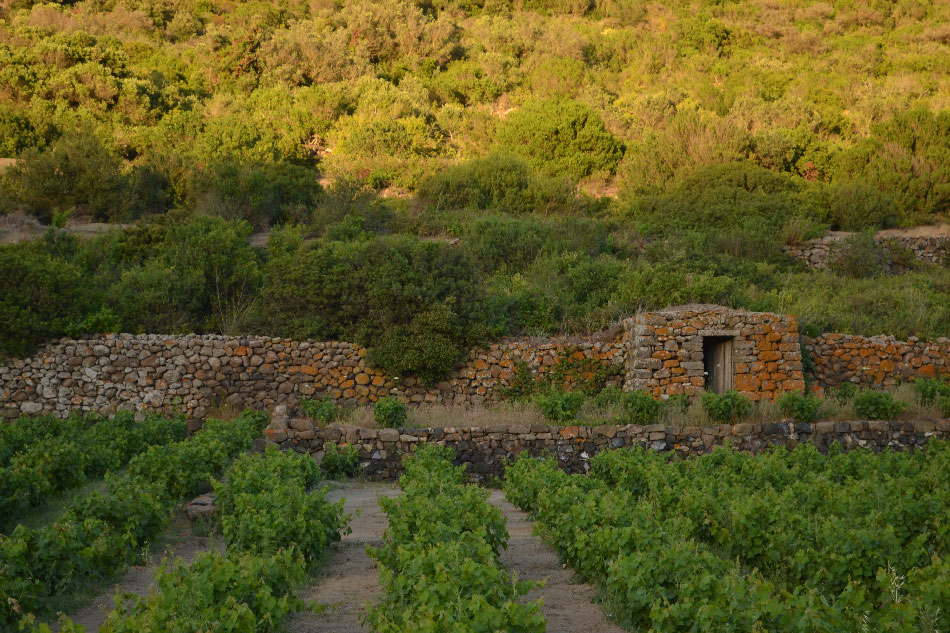 dammuso-ghirlanda-pantelleria