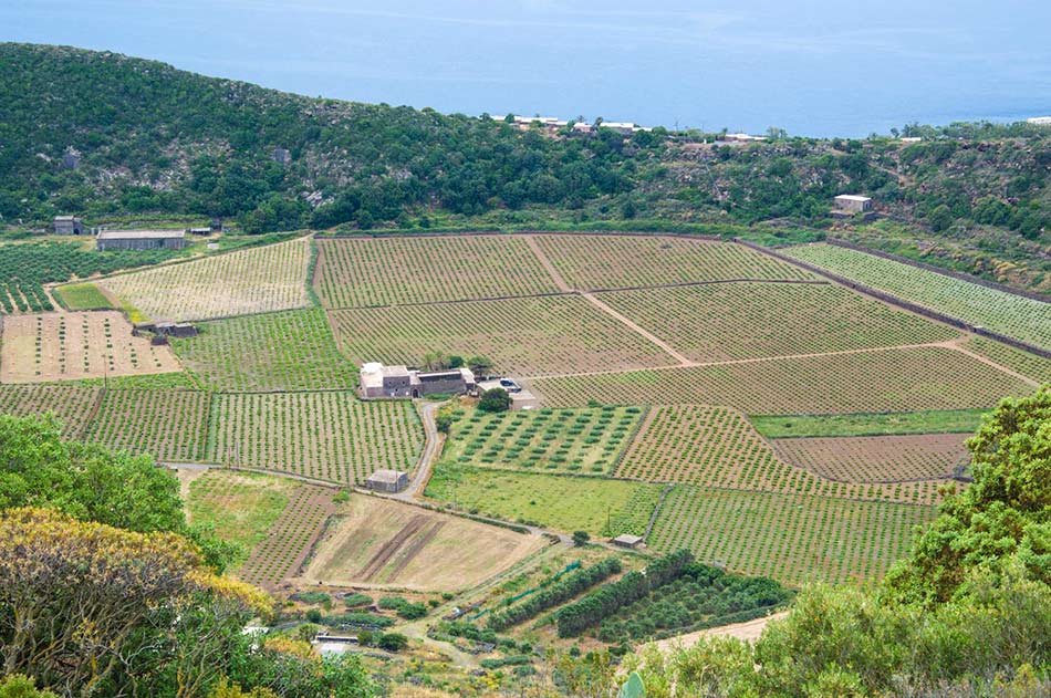 visitare-pantelleria-valle-monastero